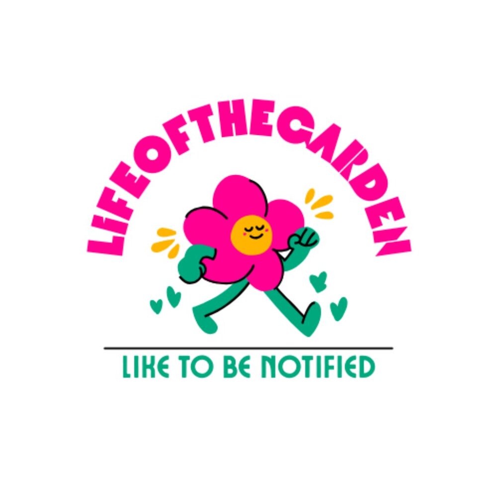 This listing is for Live Shows